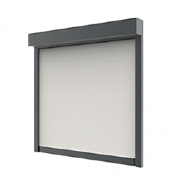 screen